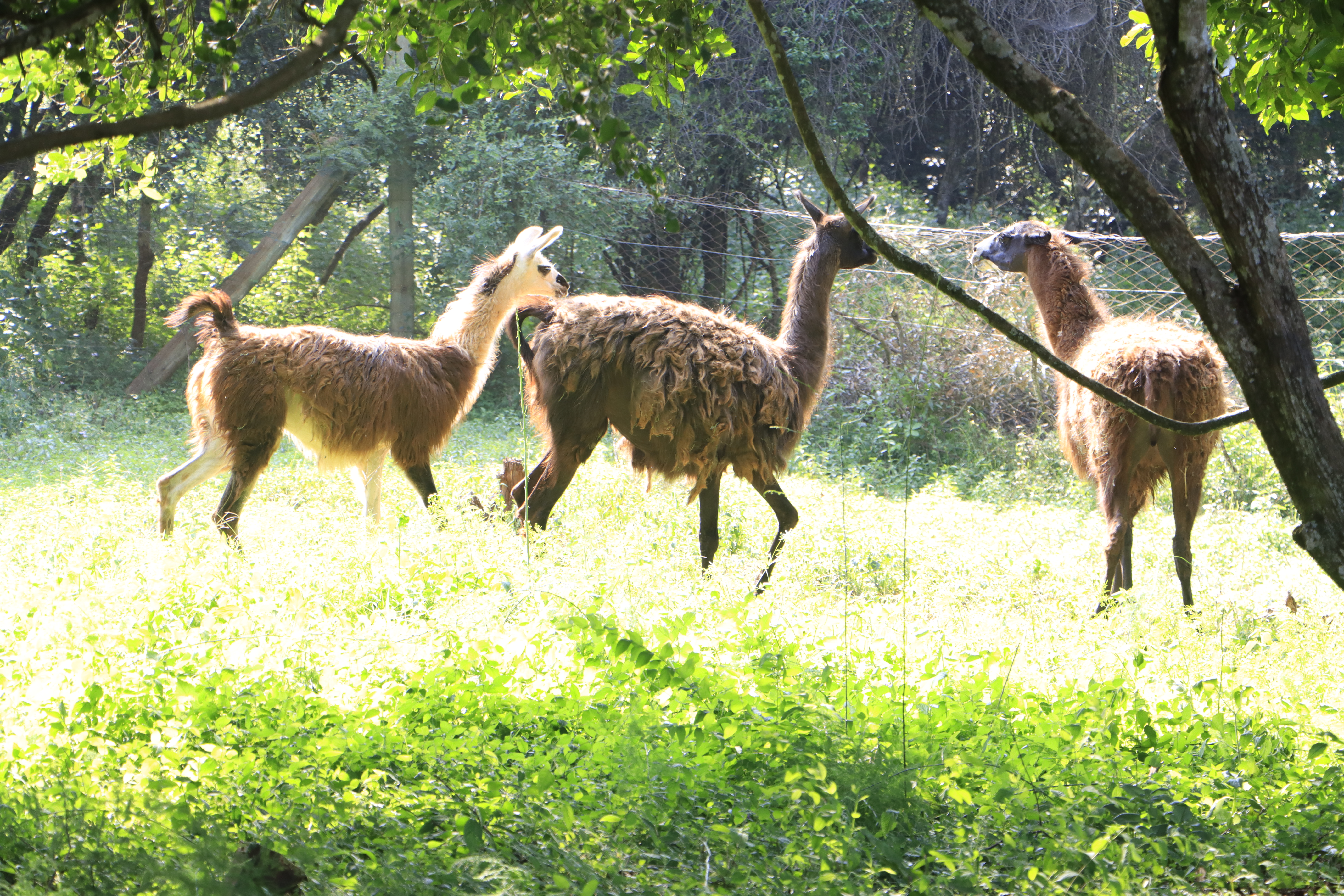 DeKUT Conservancy - Nature Trail